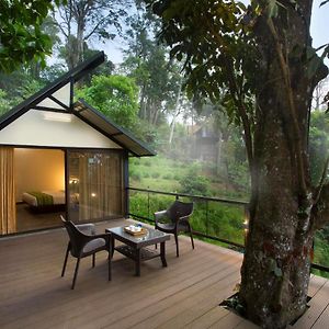 Bamboo Dale Resort, Munnar